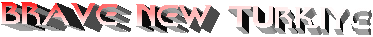 BRAVE NEW TURKIYE